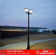 天津LED庭院灯 多风格 多样式 厂家直销