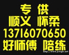 密云地区汽车陪练公司