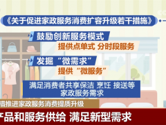 4方面12项重点举措！家政服务“旧”领域将发生什么“新”改变？一文了解